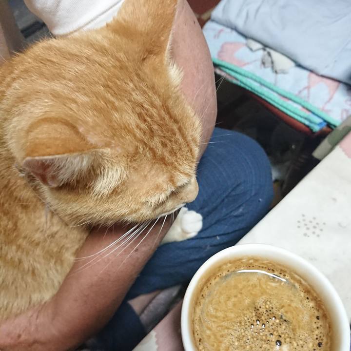 277b2446 282c 4e25 880d d7ce285600ad 1594410903212