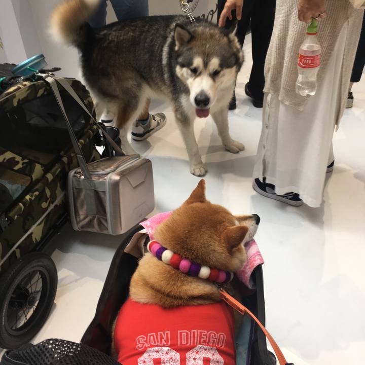 277b3096 3fca 4a98 8e8d 2d0e98b101fd 1566624446068