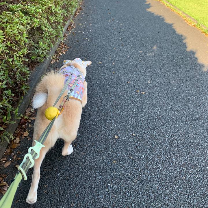 277bb89a 5e85 4209 b6e6 9fd58fc6e410 1567299484597