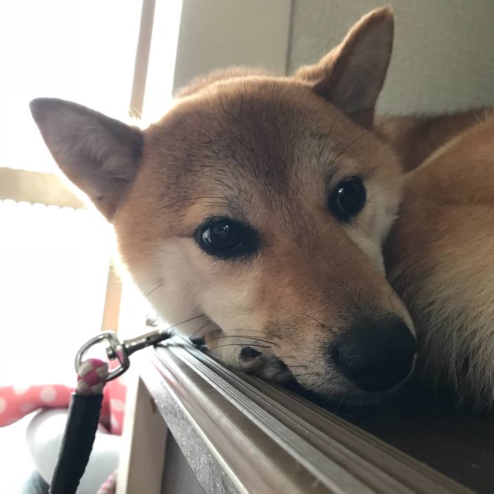 277bbe66 4b12 4d5d b627 b3e132fbc815 1530703006153