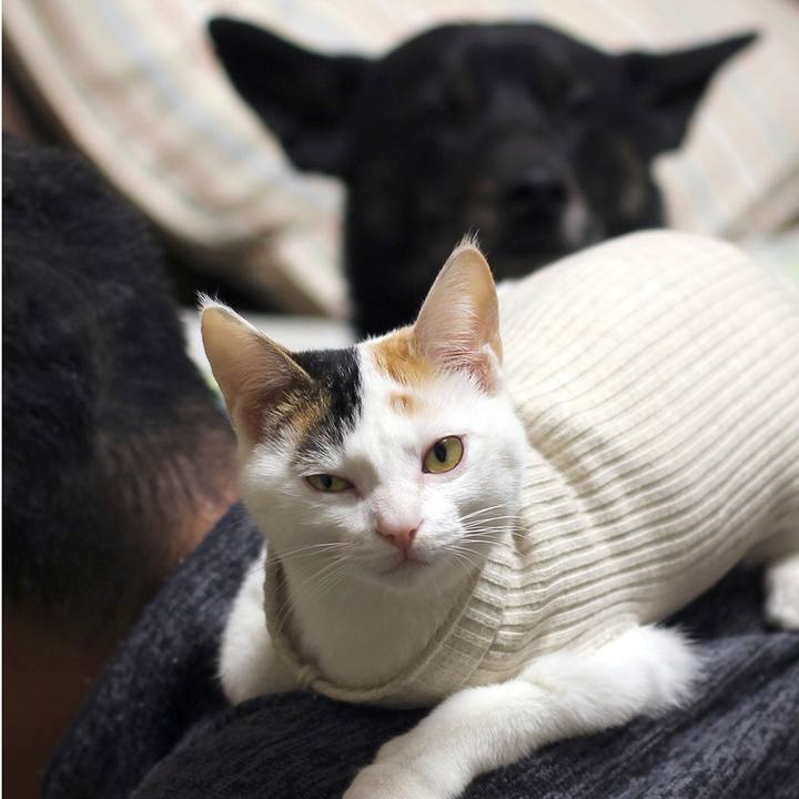 277bc1f7 83ad 4793 93fe cce192383d2a 1553399152075