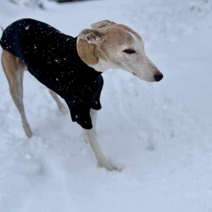 277bc70e 6ac9 4993 b014 1f192f35e0ec 1766737221072