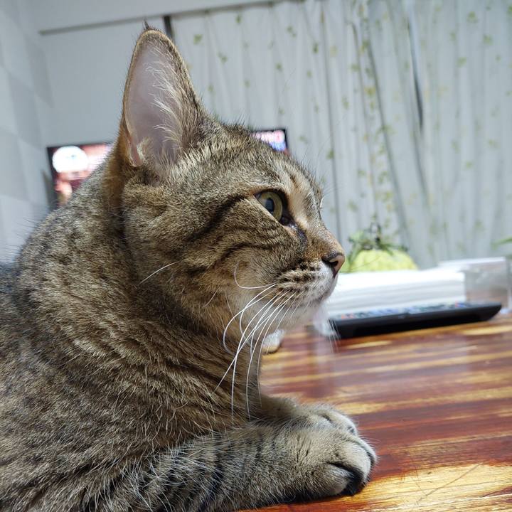 277bff4d 6a97 434d 9e41 a629bb2161c8 1634297543945