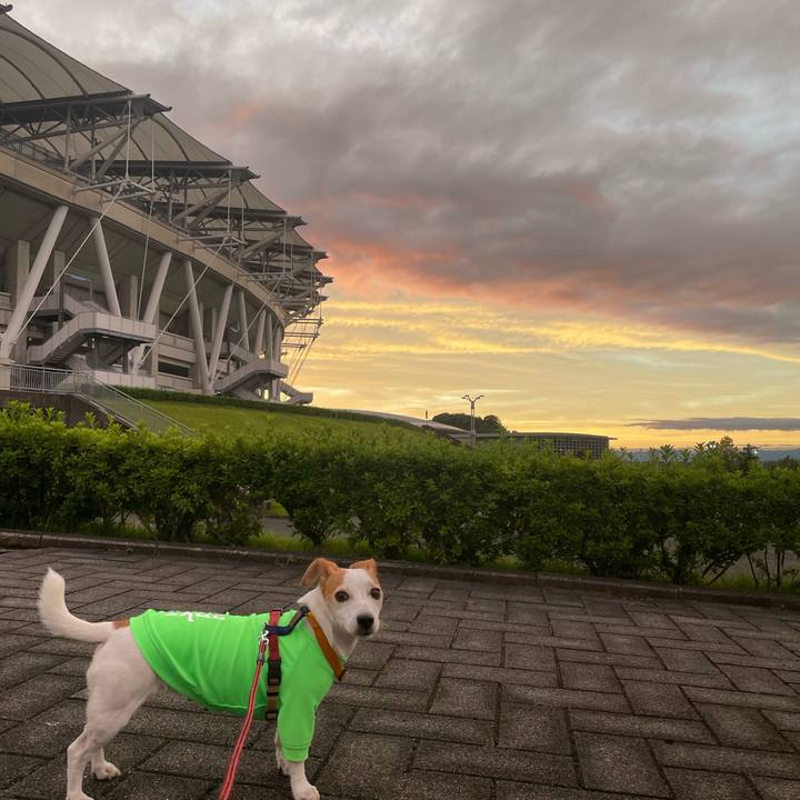 277c2842 126f 4137 a78e 748424e965f5 1663676105348