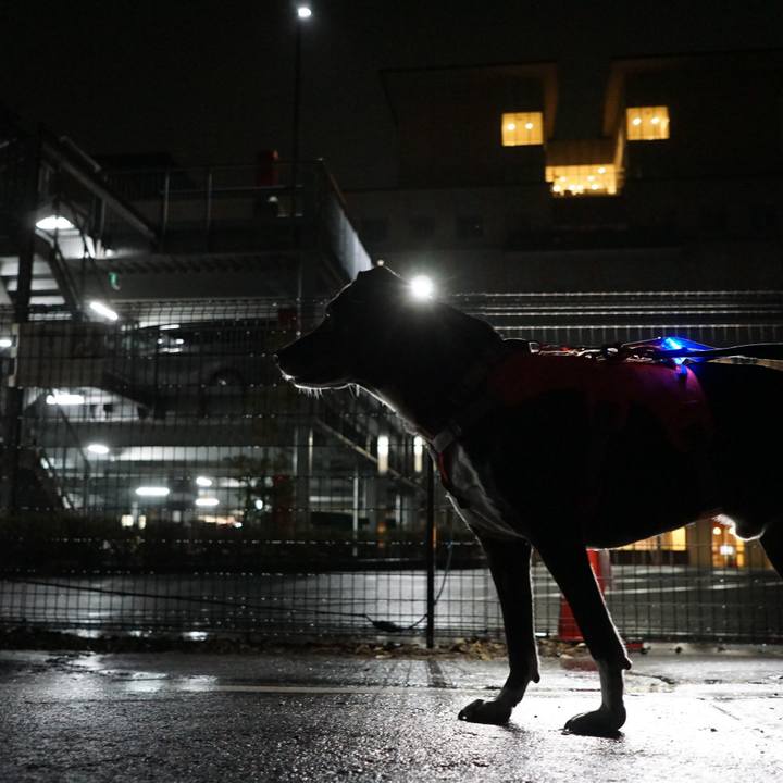 277c327b 8204 4f51 8927 0f8de75cd9b2 1761390057946