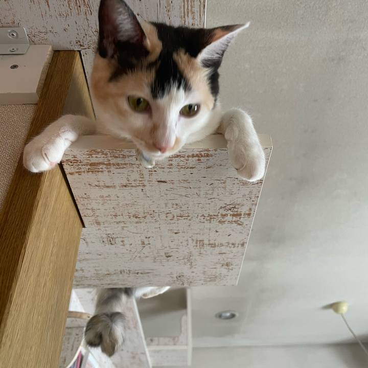 277c7079 e98c 475b 9b4f fc539dbbd14f 1677636963956