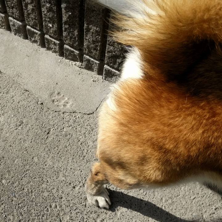 277cbcc7 7f46 440d 8cbc 9946677dec78 1530575520373