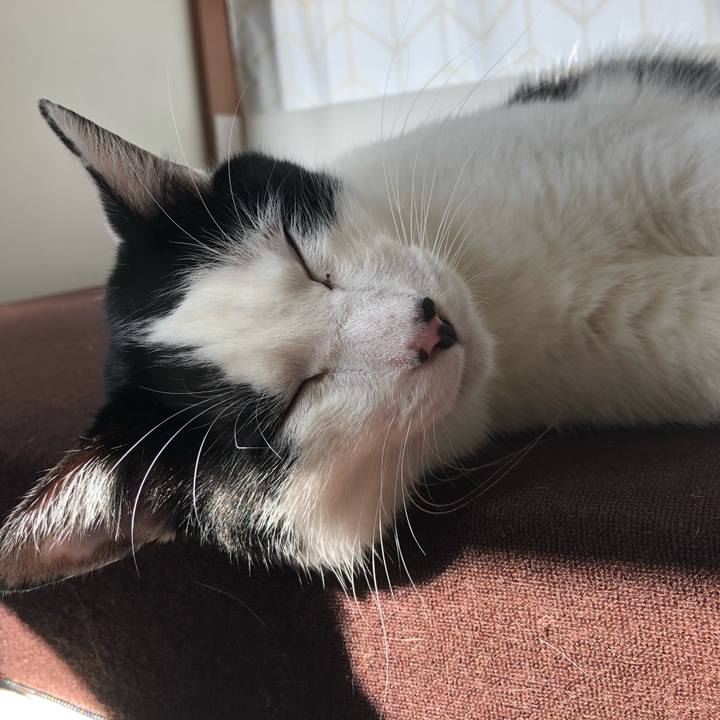 277cd0b8 4cbd 4e0b 98ae 5619b90f14fc 1558593514425