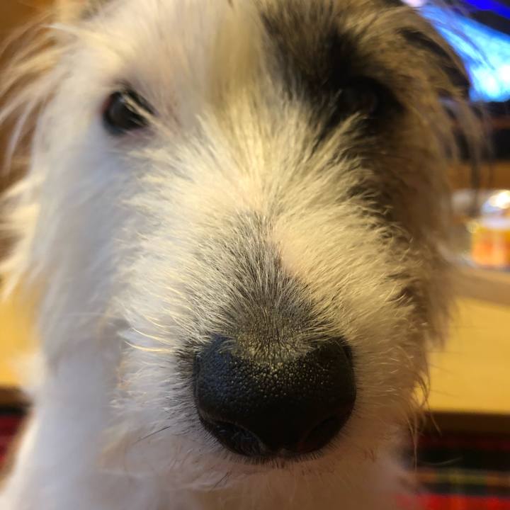 277cdff7 839d 44b8 97d7 629fa4c32a8e 1581135418666