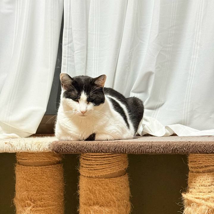 277d0056 d999 4fed a914 da9245a99cc1 1763690293424