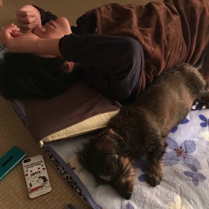 277d0f4e 0c48 43d7 8ae9 f791978c2953 1518829707723