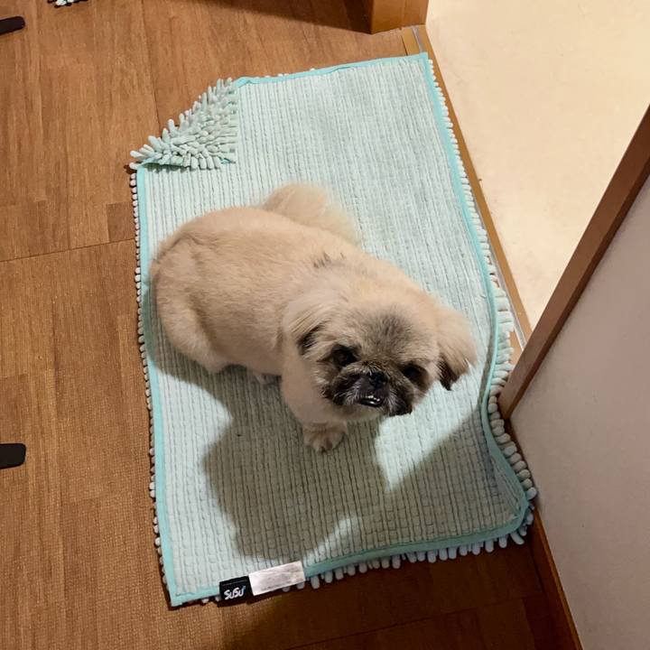 277d11b7 cf0e 4c5a 8503 de643849fbea 1758274471736