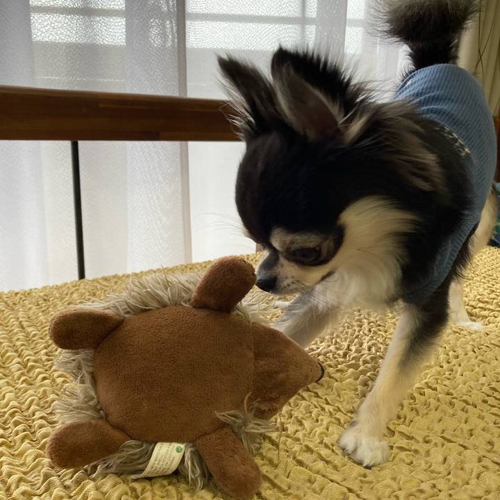 277d2bf3 f0bb 4dde 81e2 3f4637cd26fa 1650172977206