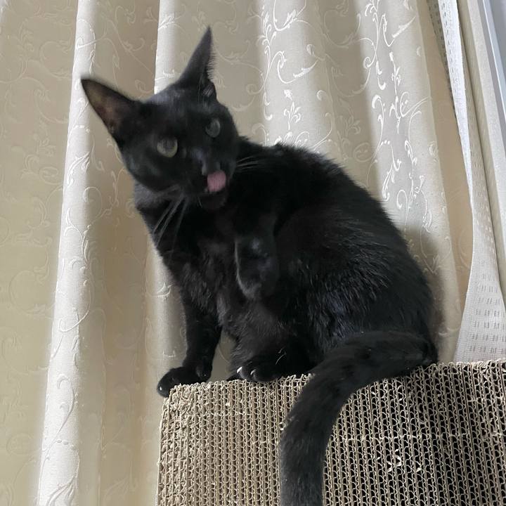 277d39a9 a53b 4eac be8a cfb9ddb53978 1761223570568