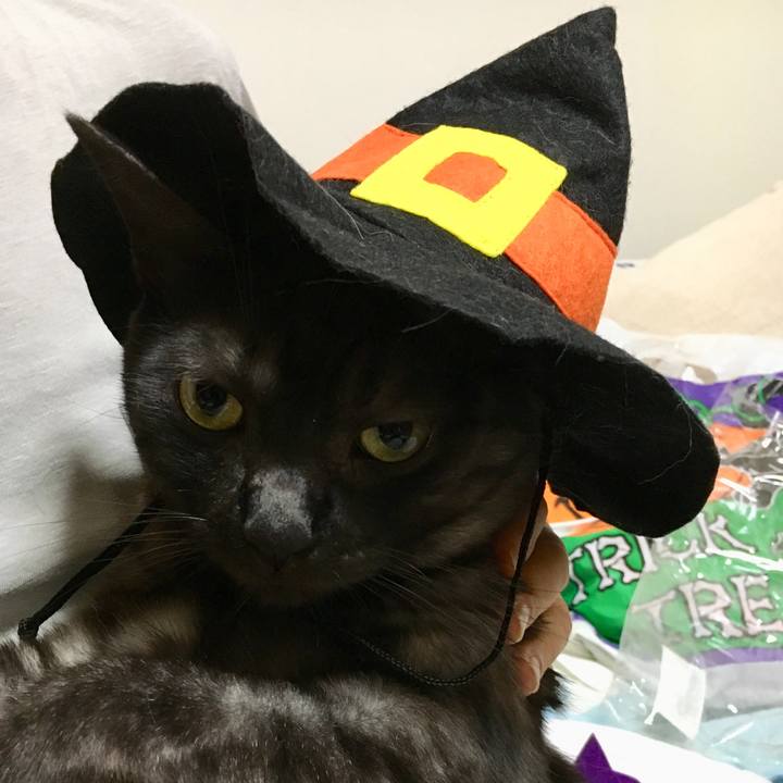 277d3bef a973 4102 a174 4ab65fb4eccb 1572526525545