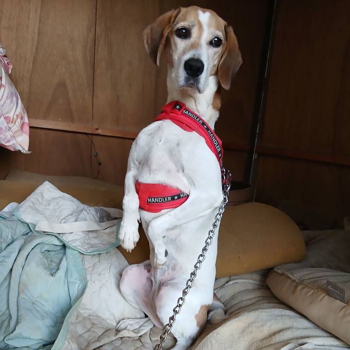 277d64f2 7018 4bf3 9c48 77a8ecadfd04 1759832550570