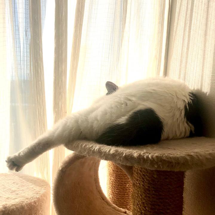 277d8ef0 546d 45ab 9791 d0df83be8c5c 1577511739116