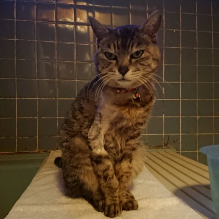 277dabbc 04b8 4298 b523 703c74f364db 1590142159097