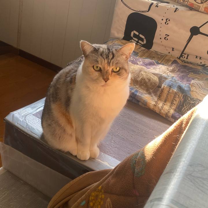 277db036 ab75 457a 981c b8eab63017bf 1668814967547