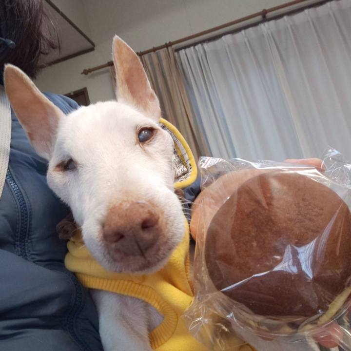 277dc0a8 a16c 4d93 b3cc e6e9be5aa197 1610265054320