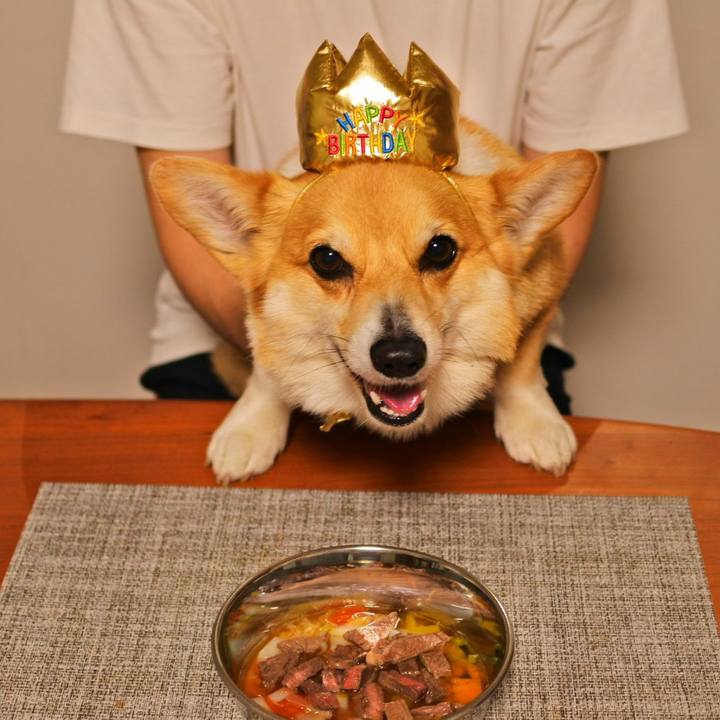 277dc3bf 205c 4a00 af36 aefd8cd73554 1621174133753