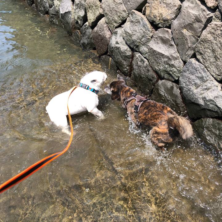 277deb57 f792 426b bc87 39b9ce8668ef 1628822064283