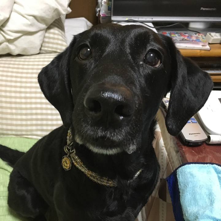 277e0f75 2f16 4e59 b337 26d7bb541e15 1515541650440