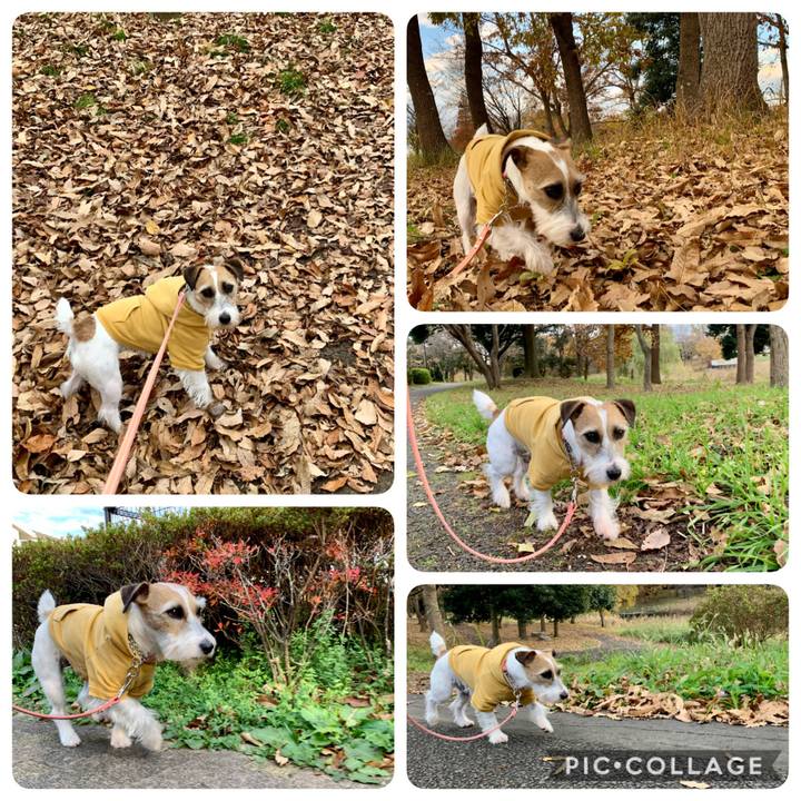 277e47cc 4168 43d4 81c4 fffa9e10ed34 1607412558456