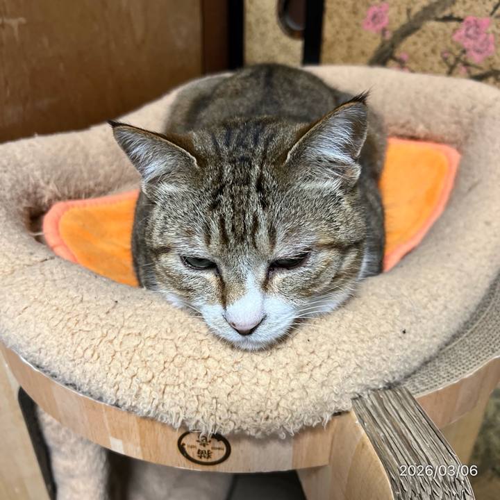 277e8584 2482 486b a5ed b3e905d4a1b0 1772748013930