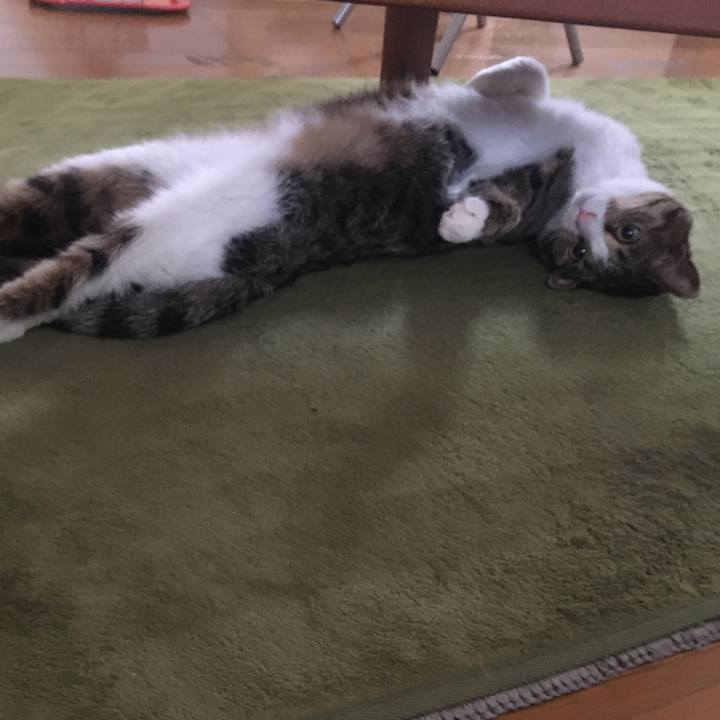 277e8f96 2c4e 4174 ba84 175db9246587 1705925081395