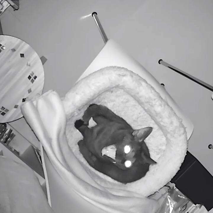 277ec262 5ea5 4c8c b90a 9ab55e0bdbe7 1522330331405