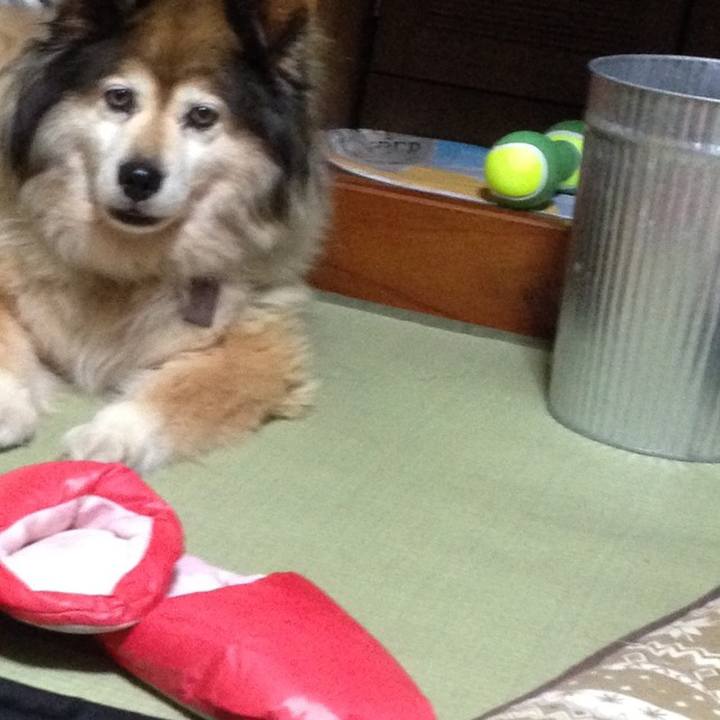 277edd2b eaf5 4c77 adc7 c45e266474f7 1616031260334