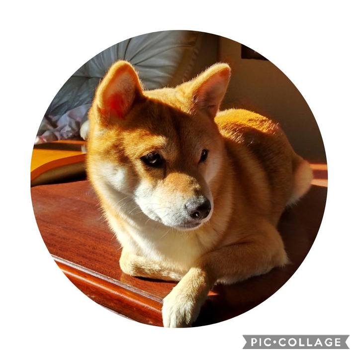 277f150c 33da 4c33 8abf 74367132e163 1670461542134