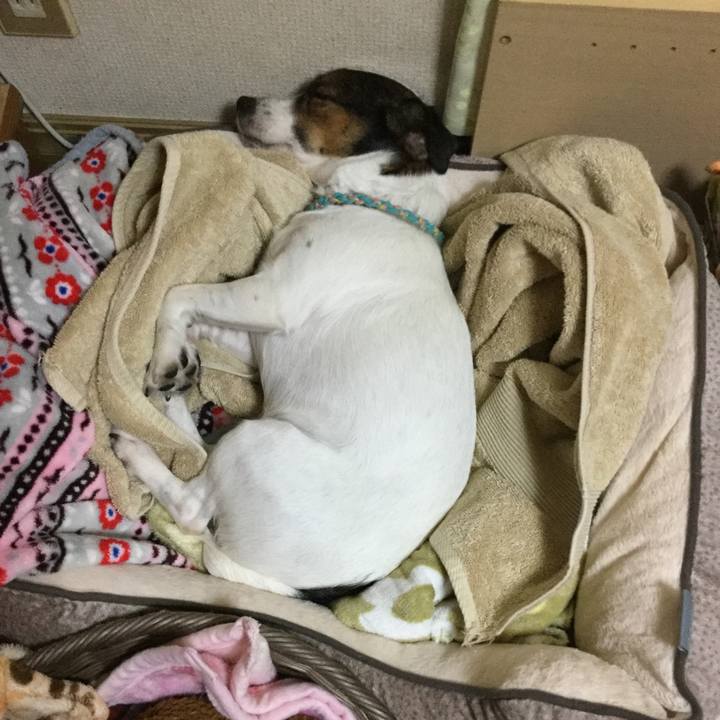 277f170e 9bf6 477a 834e 7ebb9ac46aa5 1510048598991