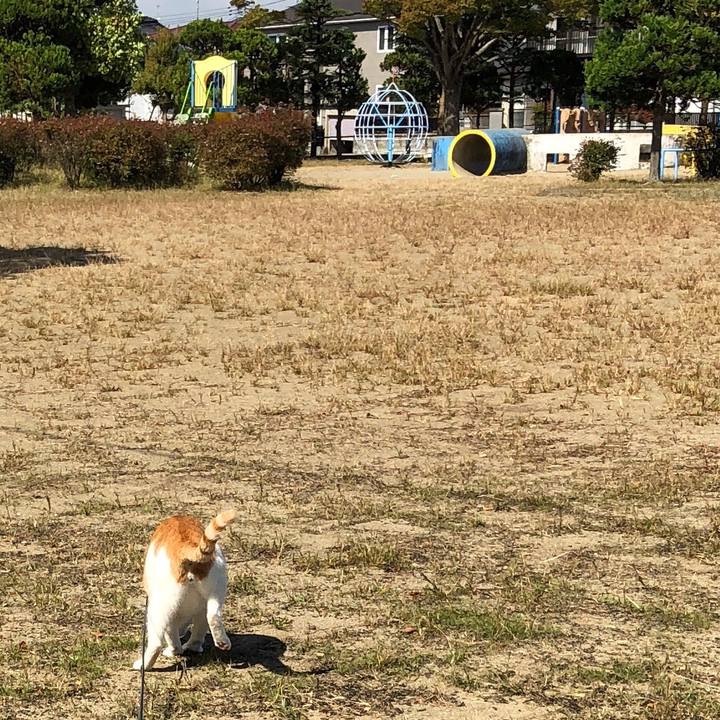 277f1d15 0829 4431 9a95 e4447aa56945 1538807803015