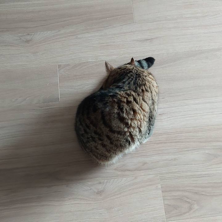 277f335f 3802 4194 9eaf aa6ad9ee04e4 1662245933816