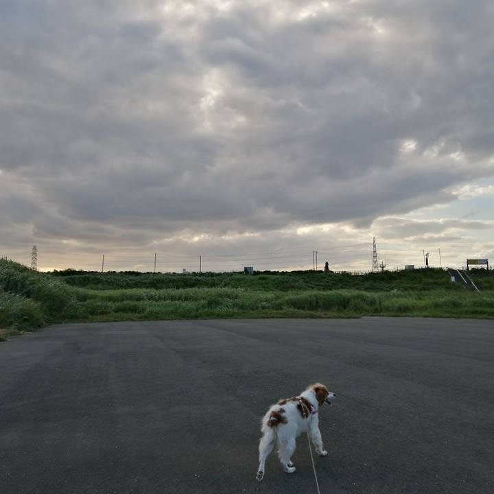 277f350a dee2 4ccc ae66 a90c39af4c6b 1568452033690