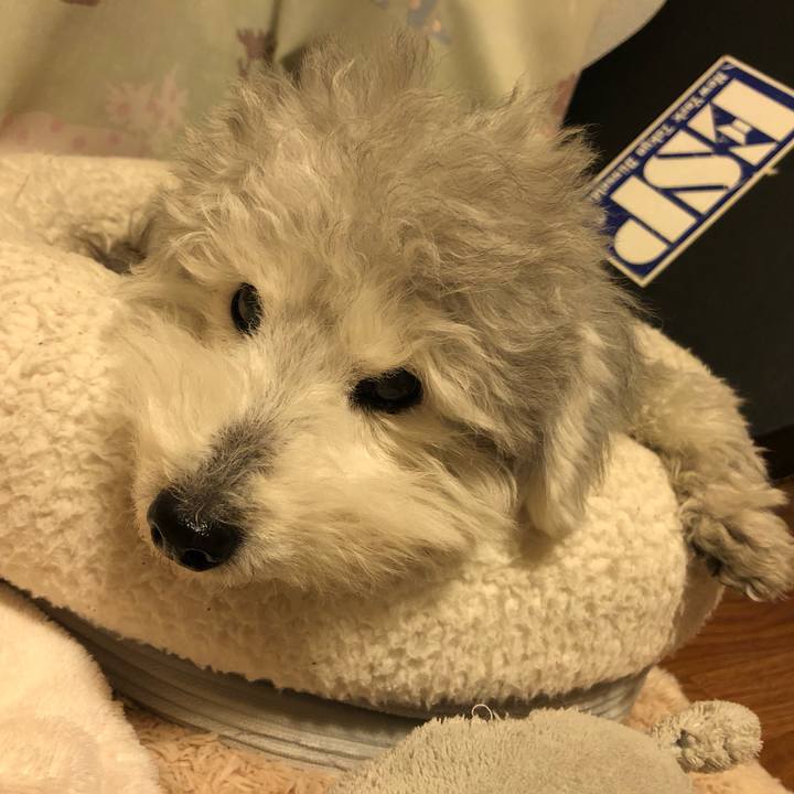 277f533e fa39 456b 9233 1b118ebe7b26 1613911839326