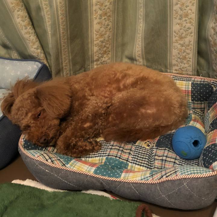 277f5e19 0f3f 4bac bb09 eab414e6eab1 1511089679283