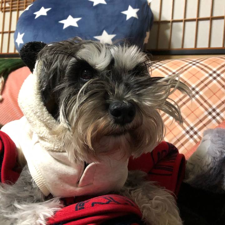 277fba7d 267e 498d 8801 ff9c55f03831 1616662745473