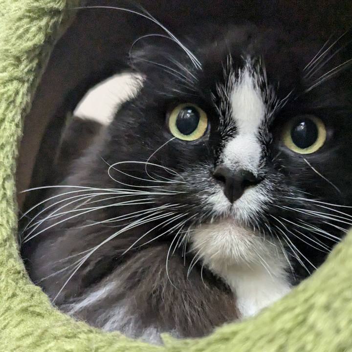 277fd94a 0f9e 46b9 9374 b63a83696e2a 1730441926381