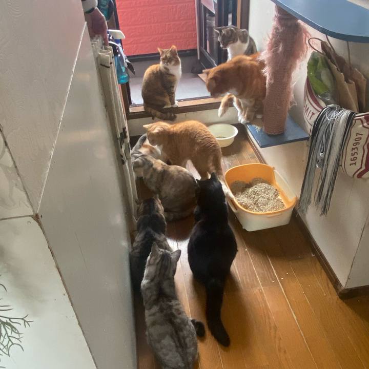 277fdd2c 3cc7 4594 83c6 3dfccead9563 1650240380004