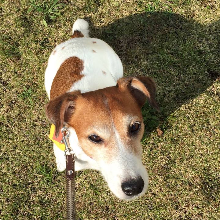 277fe417 ca35 4542 bb04 469c19b03f93 1510233121149