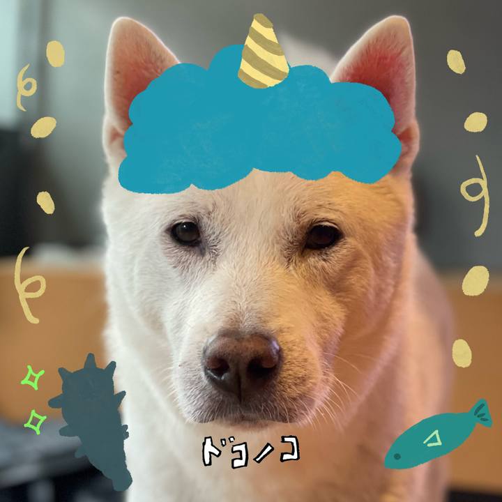 2780050d 2166 4ee3 a02f 194476c173e1 1706918392543