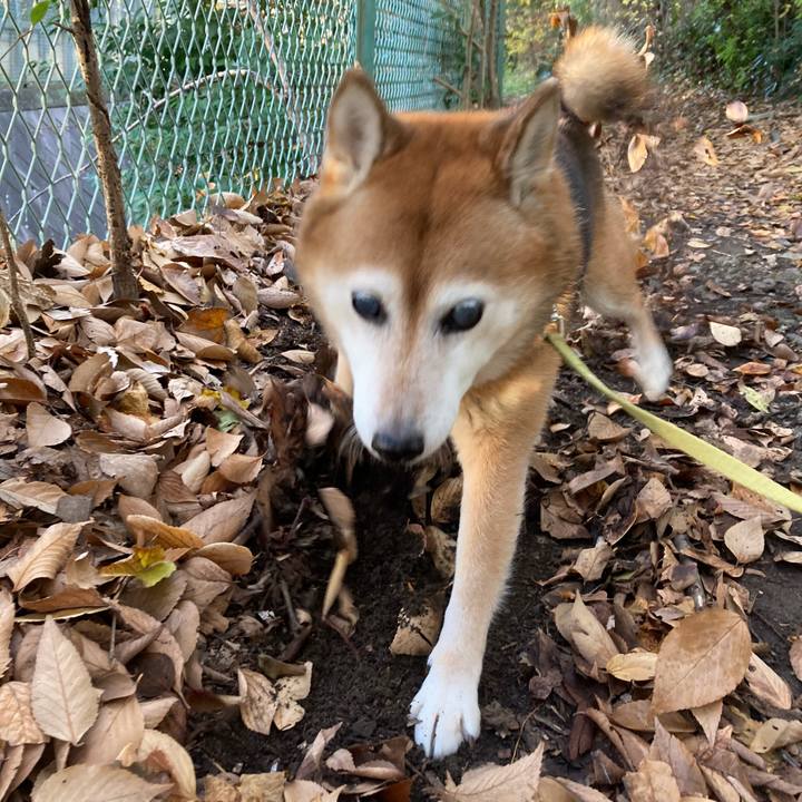 278015e3 42f2 48f6 8aee aecbedbee3d1 1701909509906