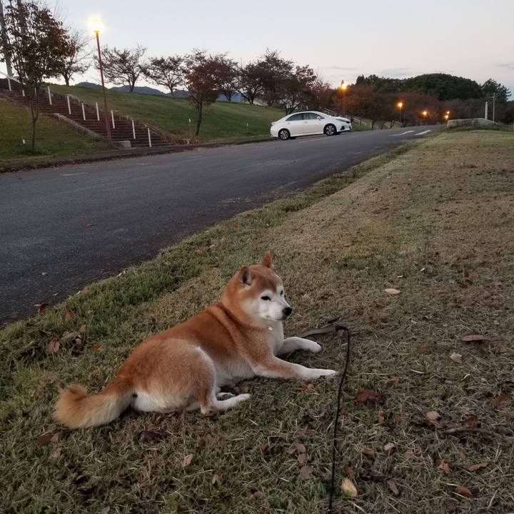 278023c4 537c 43f5 87b6 d8da54ca170e 1666339578696