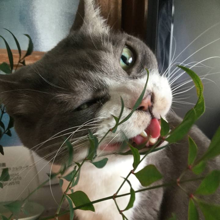 278050c8 ddf7 412c 9768 e4a2f96c8b1b 1583303016145