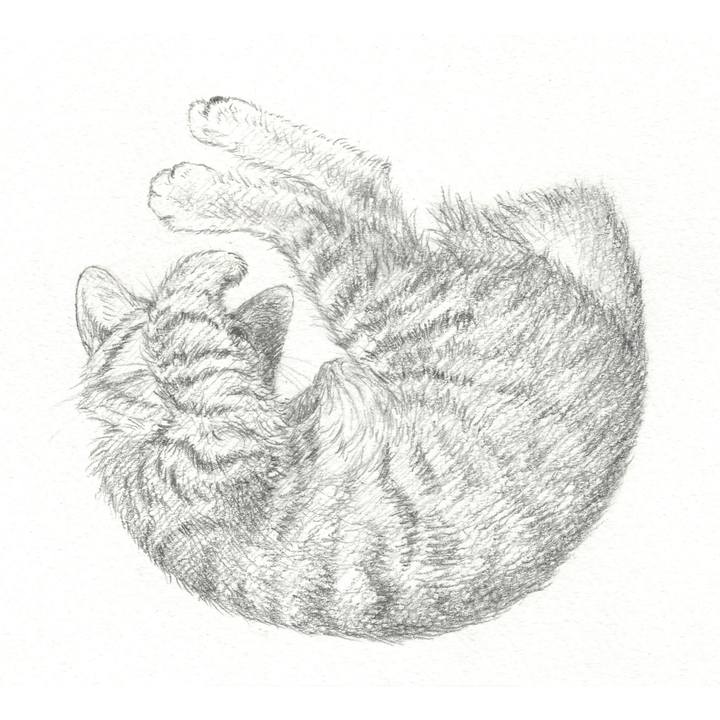 27806576 6f00 4fef b162 1b5be0ad5ae6 1545315440335