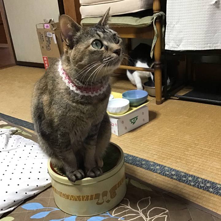 278099af 90de 438b 93ac e90d362b46d6 1652870167294