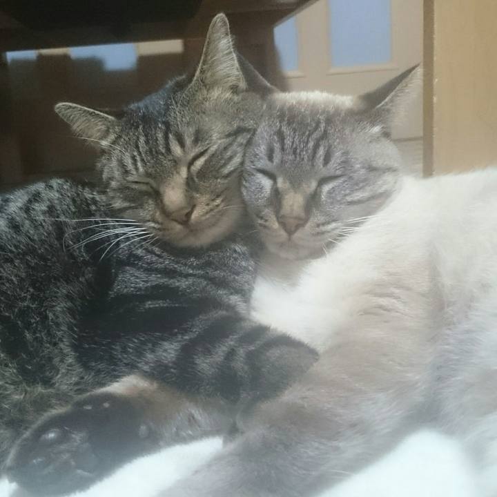 2780a32a 5003 49f8 ac5f 3d02eb3540b4 1512051720192